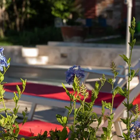 Bonsi Holiday home Montaione