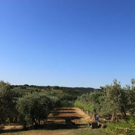 Bonsi Casa vacanze *